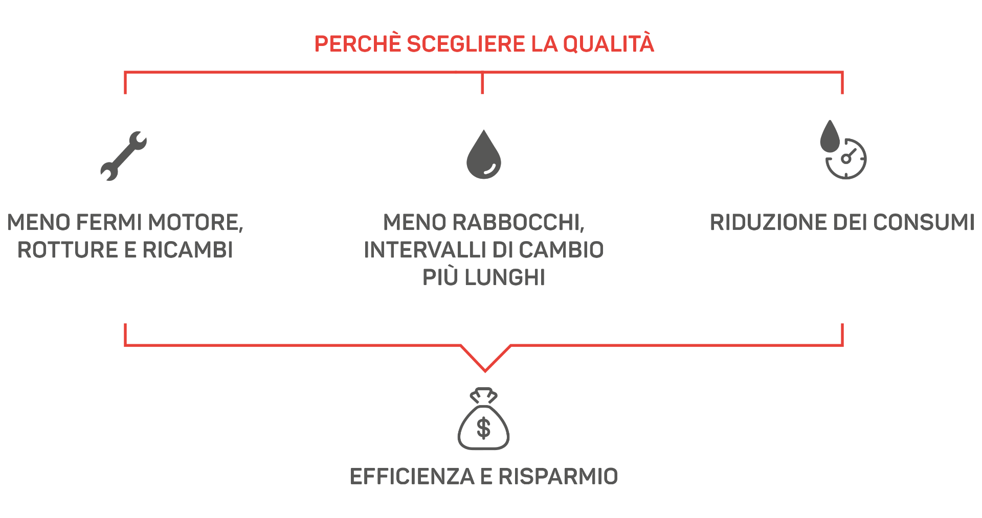 Nils | Schema Qualità